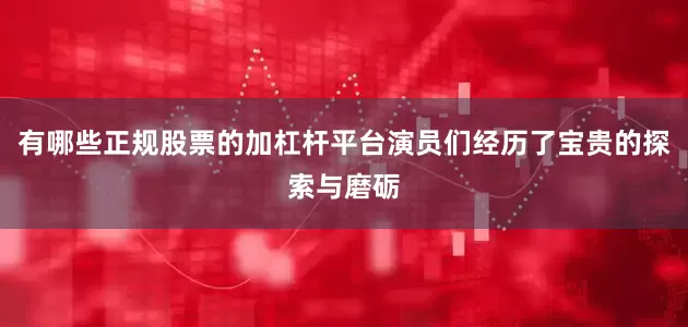 有哪些正规股票的加杠杆平台演员们经历了宝贵的探索与磨砺
